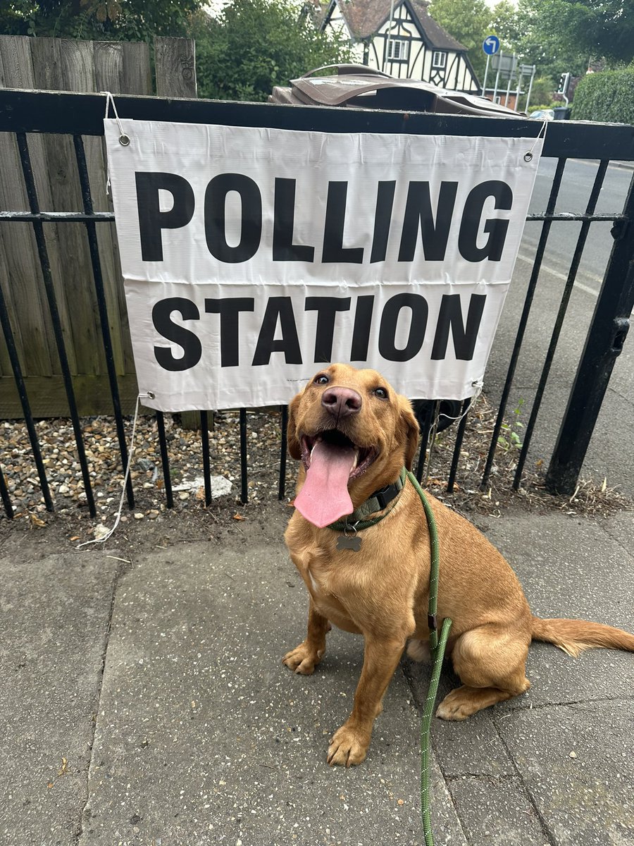 Watson. #dogsatpollingstations