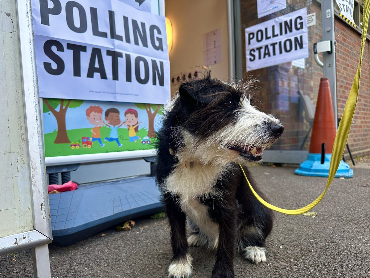 EricMcF's tweet photo. #dogsatpollingstations
Alfie, Northfields, west London https://t.co/t3LitCS0L0