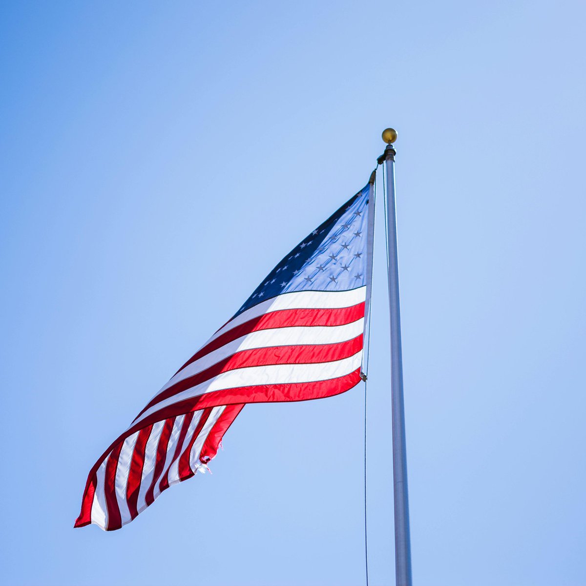 WIPPS_org's tweet photo. Your friends at WIPPS wish you a happy and safe 4th of July! https://t.co/VzBzEh7iYA