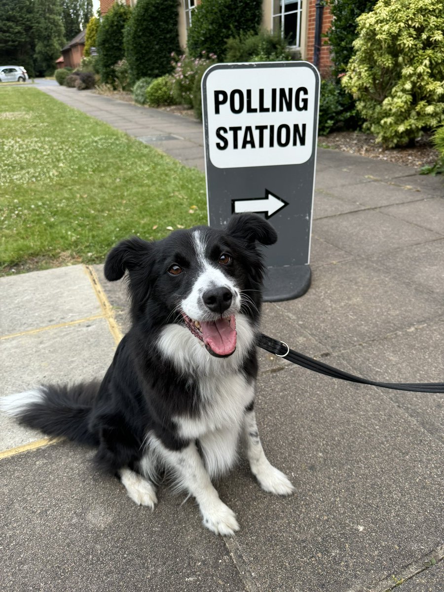 flashbird's tweet image. #DogsAtPollingStations
Happy dog! Walkies!