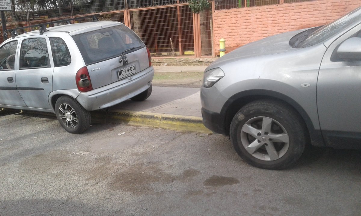 🇨🇱🇵🇸🌳Cdvb2002🌳🇨🇱🇵🇸 tweet media