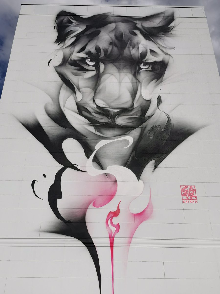 Little_Daf's tweet image. Promenade #StreetArt à @villedelaon, #SatrXX, #Levalet, #MatxZekki, #Aero et tellement d'autres 😍