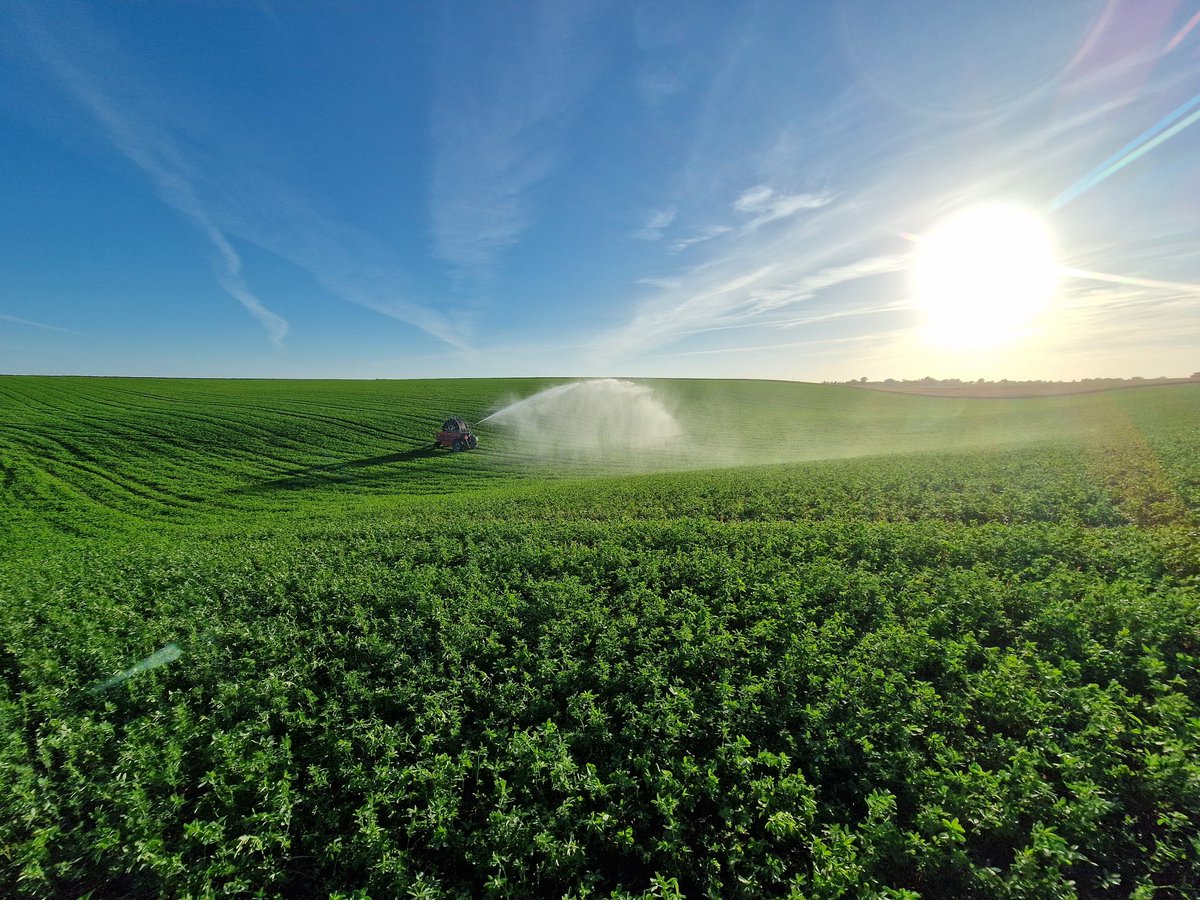 Samuel Merceron tweet media