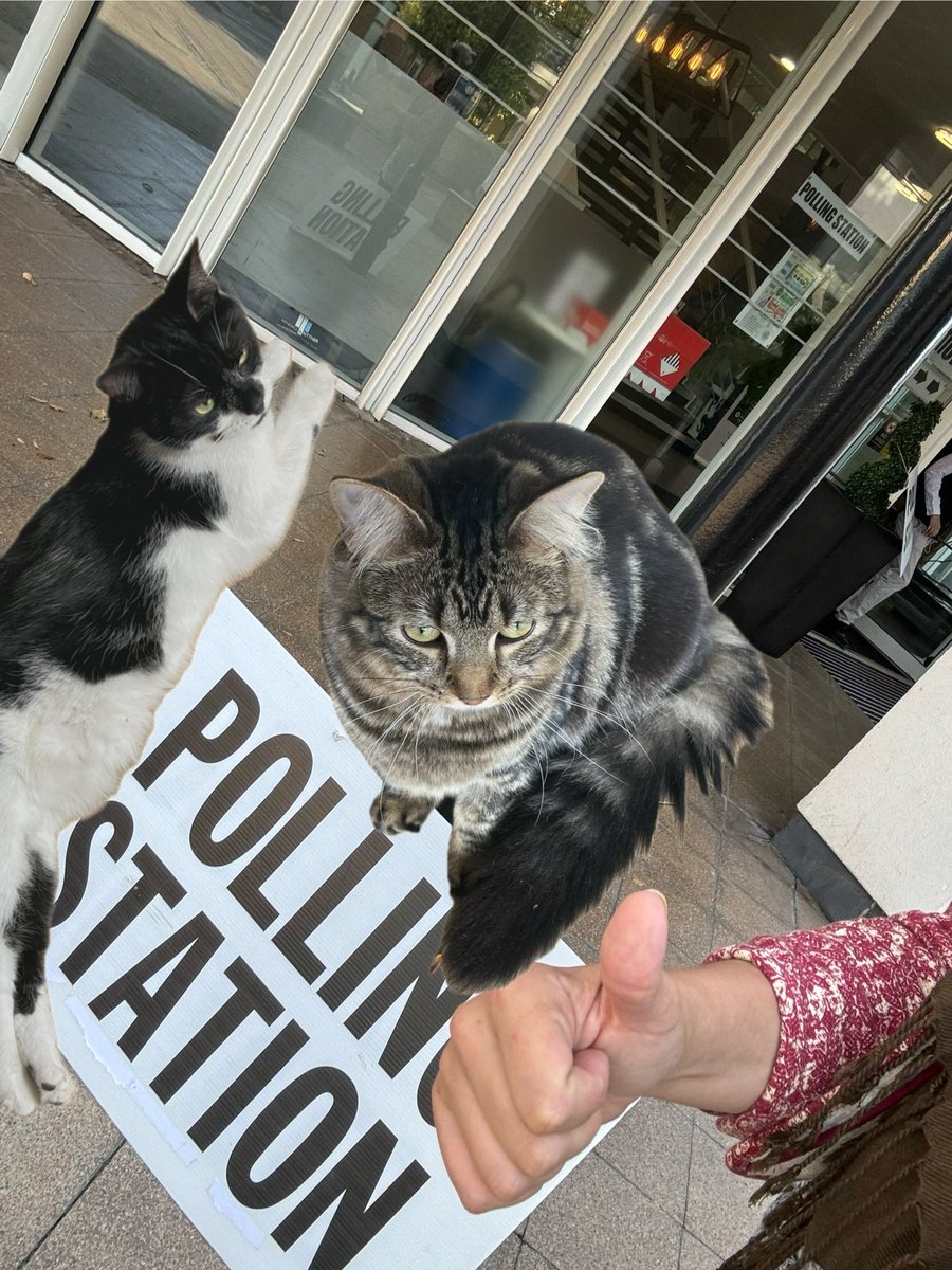 Kat 🦁 tweet media