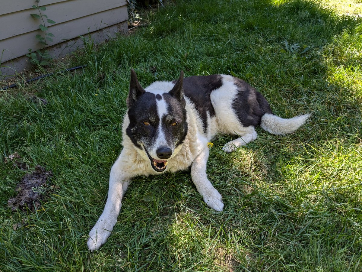 Happy Independence Day!