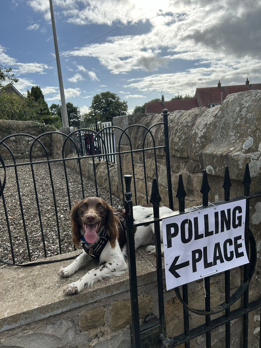 Jacobhunt93's tweet photo. Bertie exercising his right  #DogsAtPollingStations https://t.co/U4bgmSNzHc