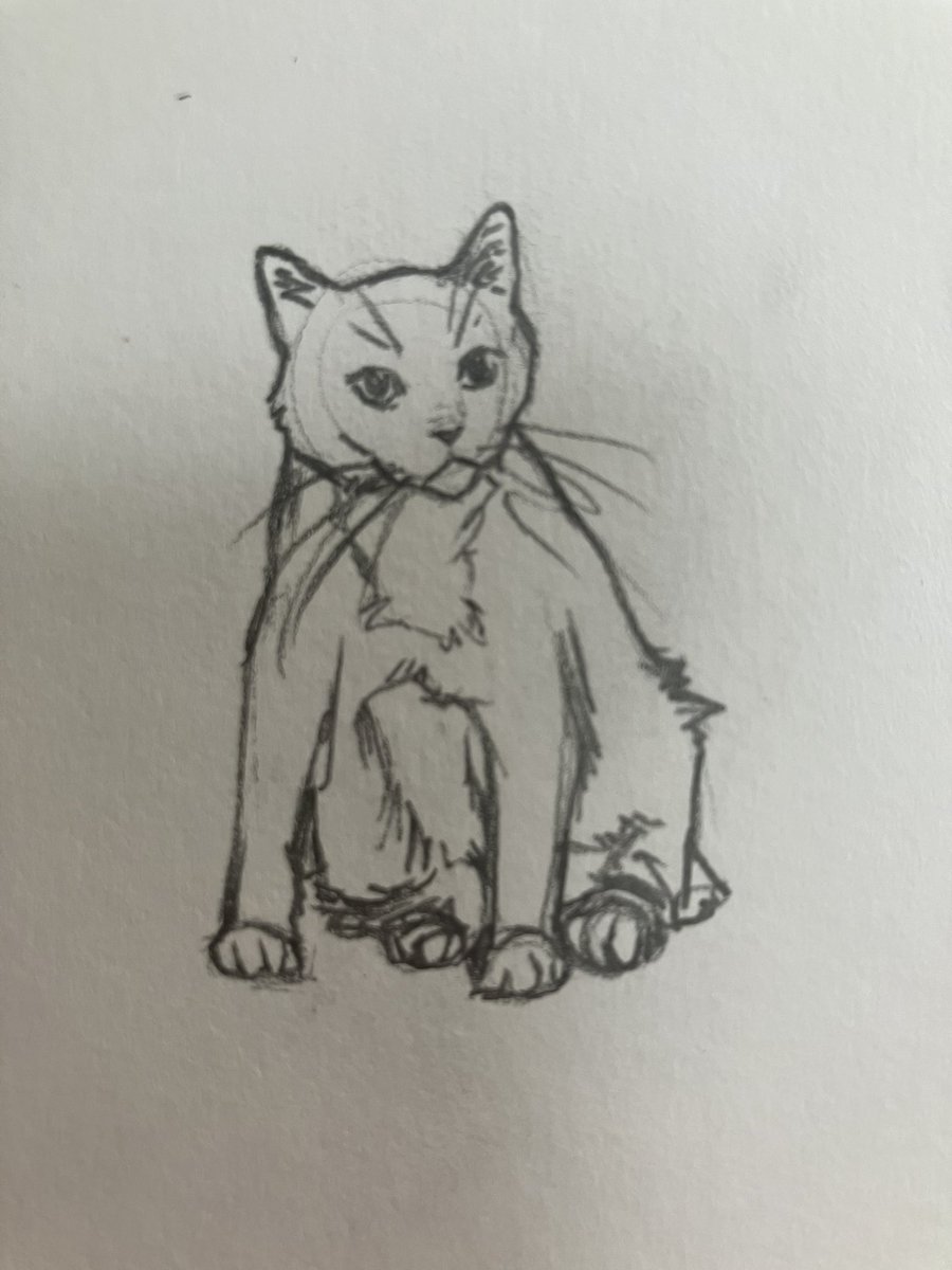 pickles 🤍 🌈 tweet media