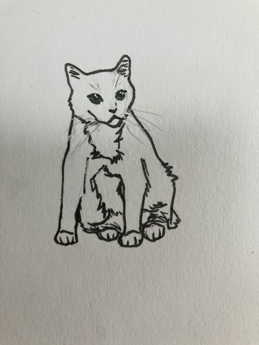 pickles 🤍 🌈 tweet media