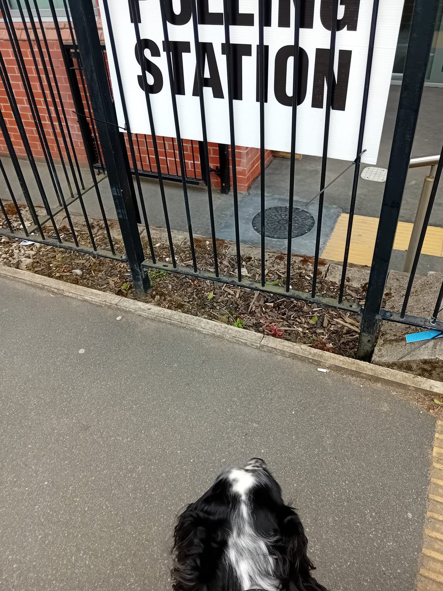 SpanielStory's tweet photo. Afternoon walkies #Elections2024 https://t.co/PeAbDw55HF