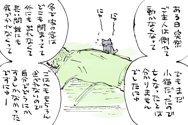 🐱キラキラにゃんこ生活
子猫だったマコトに起きたこと 
