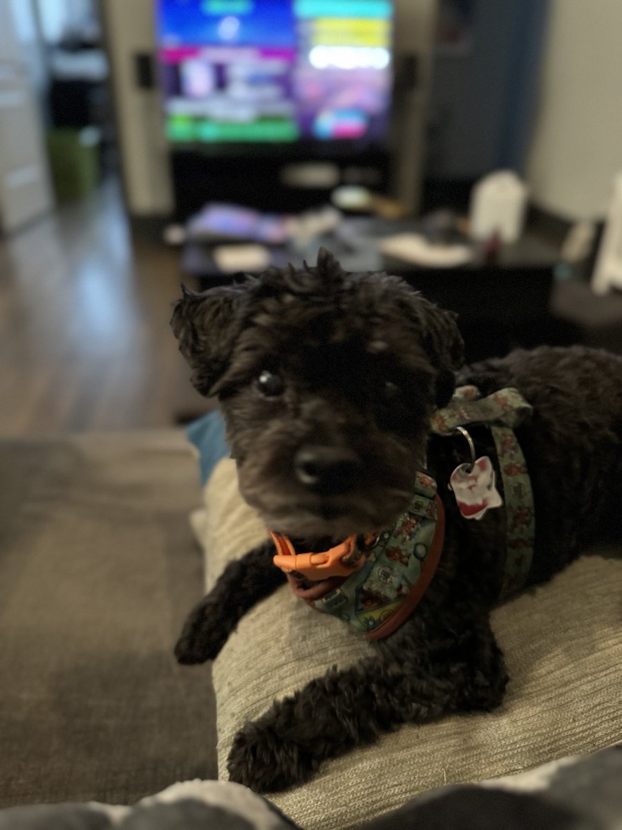 David E. Smith tweet media