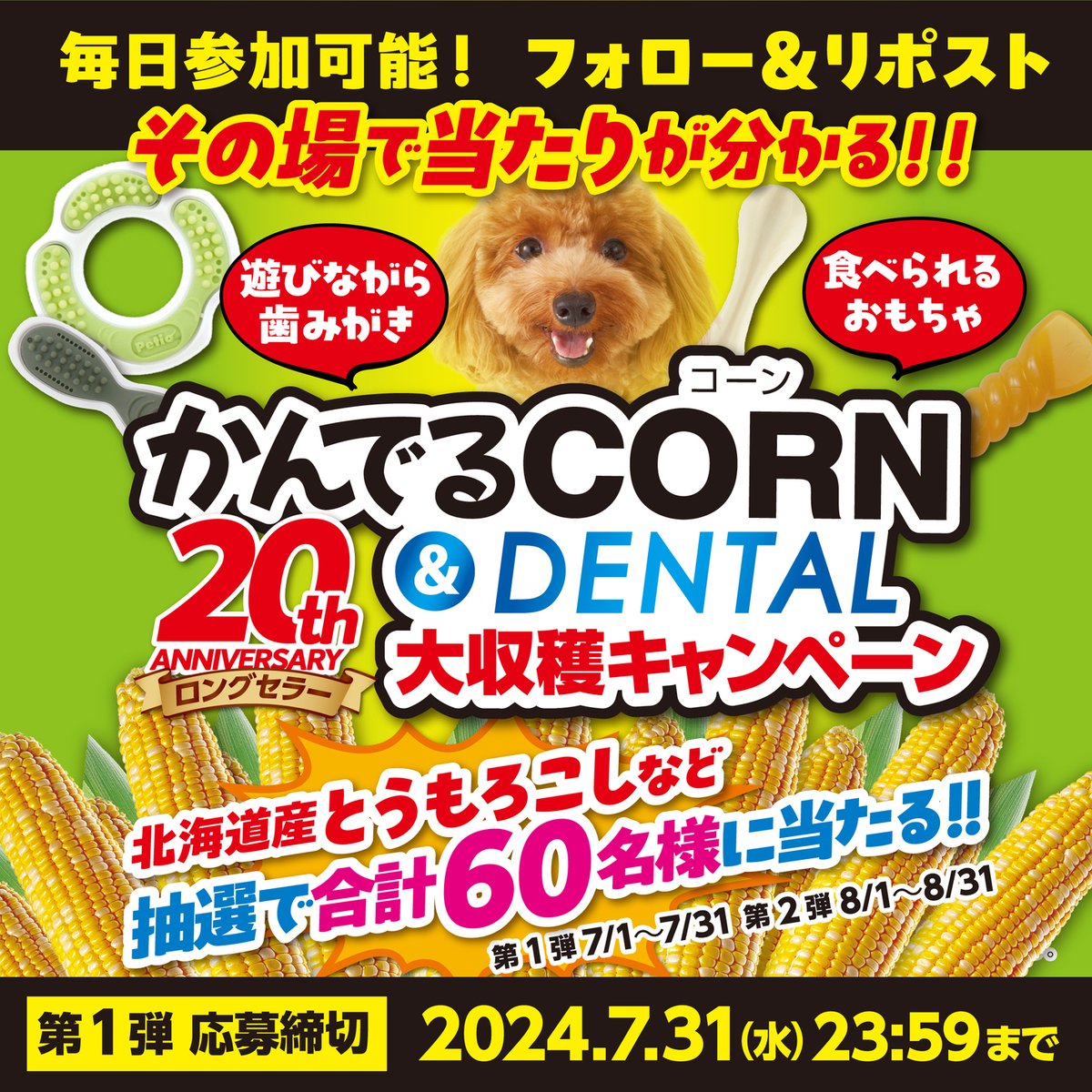 petio_official's tweet photo. とうもろこしが主原料の食べれるおもちゃ「かんでるCORN」🌽
発売20周年を記念して抽選で30名様に北海道産とうもろこしを #プレゼント🎁

★応募方法
① @petio_official をフォロー
② この投稿をRP
③ https://t.co/yFsrJCiOsA でXを連携して結果を確認！

📅7月6日 09:59まで 
#懸賞 #キャンペーン https://t.co/1ZP831DBRM