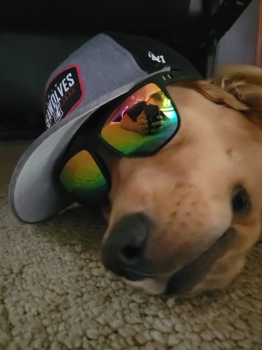 APBio120's tweet image. Roger is rocking his @erie_seawolves hat for a nap!