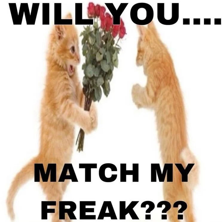 literallymecats's tweet image. 