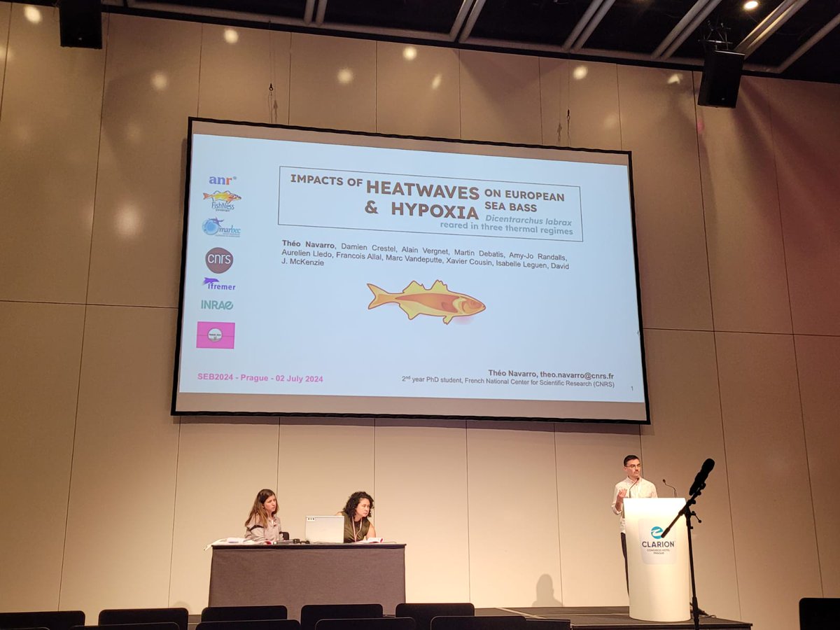 Two days ago I gave my first presentation at <a href="/SEBiology/">SEB @sebiology.bsky.social</a> conference in Prague 🐟

I am very happy to have been able to share my first thesis results obtained within the ANR FishNess project, at <a href="/umrMARBEC/">Marbec</a> #SEB2024