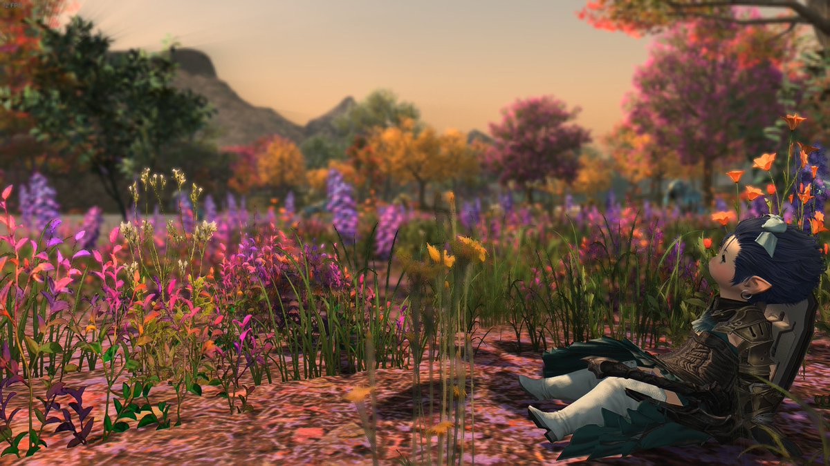 LithiumBatt's tweet photo. I will admit that the plants are pretty https://t.co/tziyntlbW6