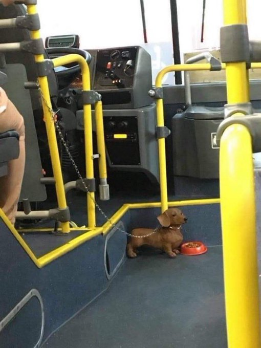 itsD3lay's tweet photo. MIRAD LO QUE ME HE ENCONTRADO EN EL AUTOBÚS https://t.co/JWYKLcDulV