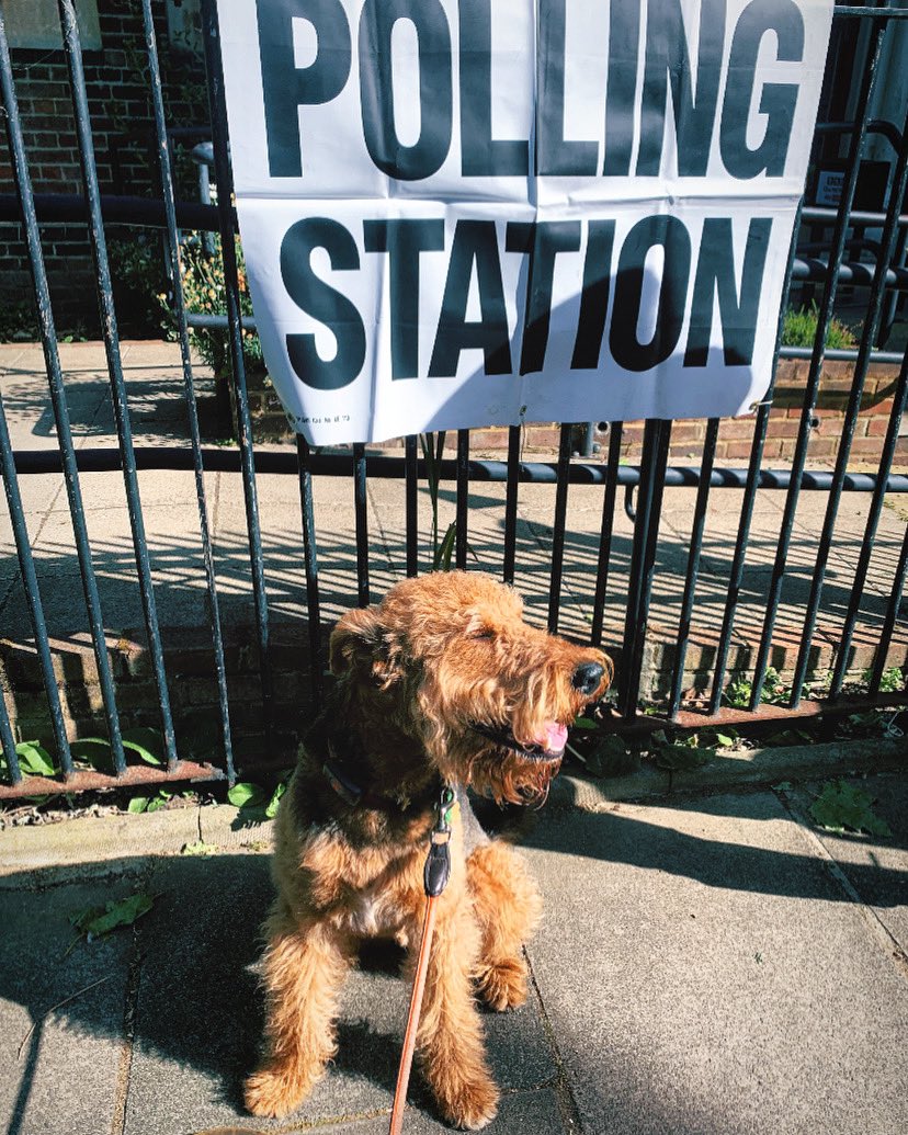 Alfred doing his civic duty in Fulham today 🐾 #dogsatpollingstations