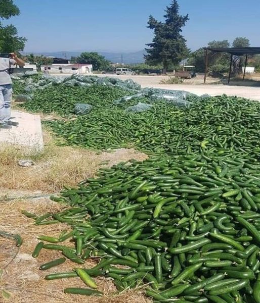 KumandanRte's tweet photo. Ülkenin Ekonomisini çökerterek
Ülkeyi zor durumda bırakmak için. Mal Stoklayan, Boş Araziye sebze meyve döken.
Çöplere beyaz ve kırmızı etleri dökenler.
Sınırda Asker ve Emniyet Güçlerine kurşun
Sıkan terörisler ile aynıdır.
Bunları yapanlarda Terörist kabul edilerek.
Vatana ihanet suçundan yargılanmalıdır.
Tüm Mal varlıklarına el konulup  her türlü hakları ellerinden alınarak derhal sınır dışı edilmelidir..

#elendik Merih Demiral'a 2 / Vatandaşlıktan /  Semih Yalçın / Ayşe Ateş / Cumhurbaşkanı Erdoğan / mersin Turks Suriyeli Bülent Arınç SON DAKİKA
