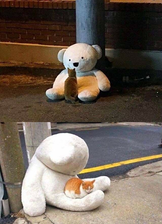 one man’s trash is another man’s treasure