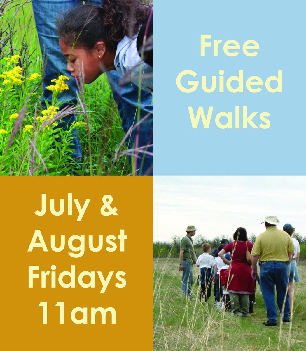 Looking for a fun way to explore nature in Winnipeg? Join us at 11am every Friday in July and August for free guided walks of the prairie!  Walks are 1 hour long on flat, wood-chipped trails and suitable for all ages. Children must be accompanied by an adult.