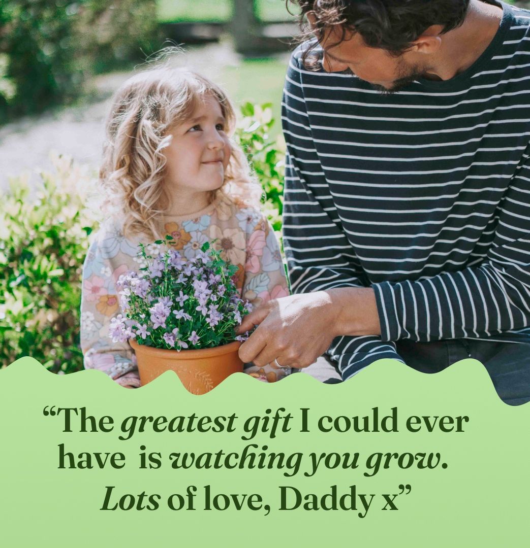 Letterfest tweet media