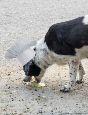 LuisValLe_A's tweet image. El platillo   |  El Chef