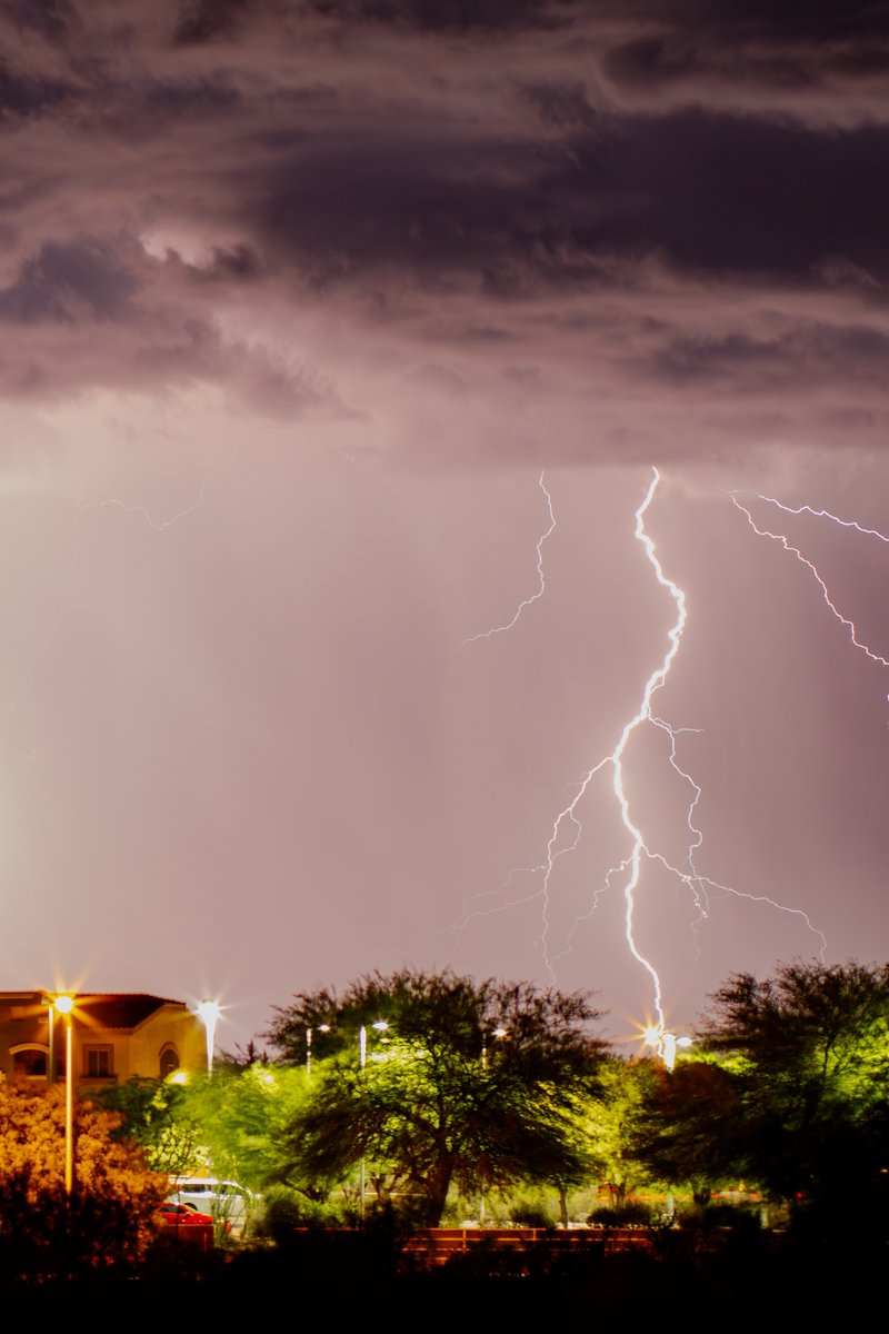 refleckshuns's tweet photo. “Nature’s electric dance — a lightning bolt waltzes across the night sky, with silhouetted trees as its audience. #Lightning #NaturePhotography #PowerOfNature #stormchasing #cochisecounty #monsoon2024 #sierravista🌩️🌳” https://t.co/5CqQepOE5D