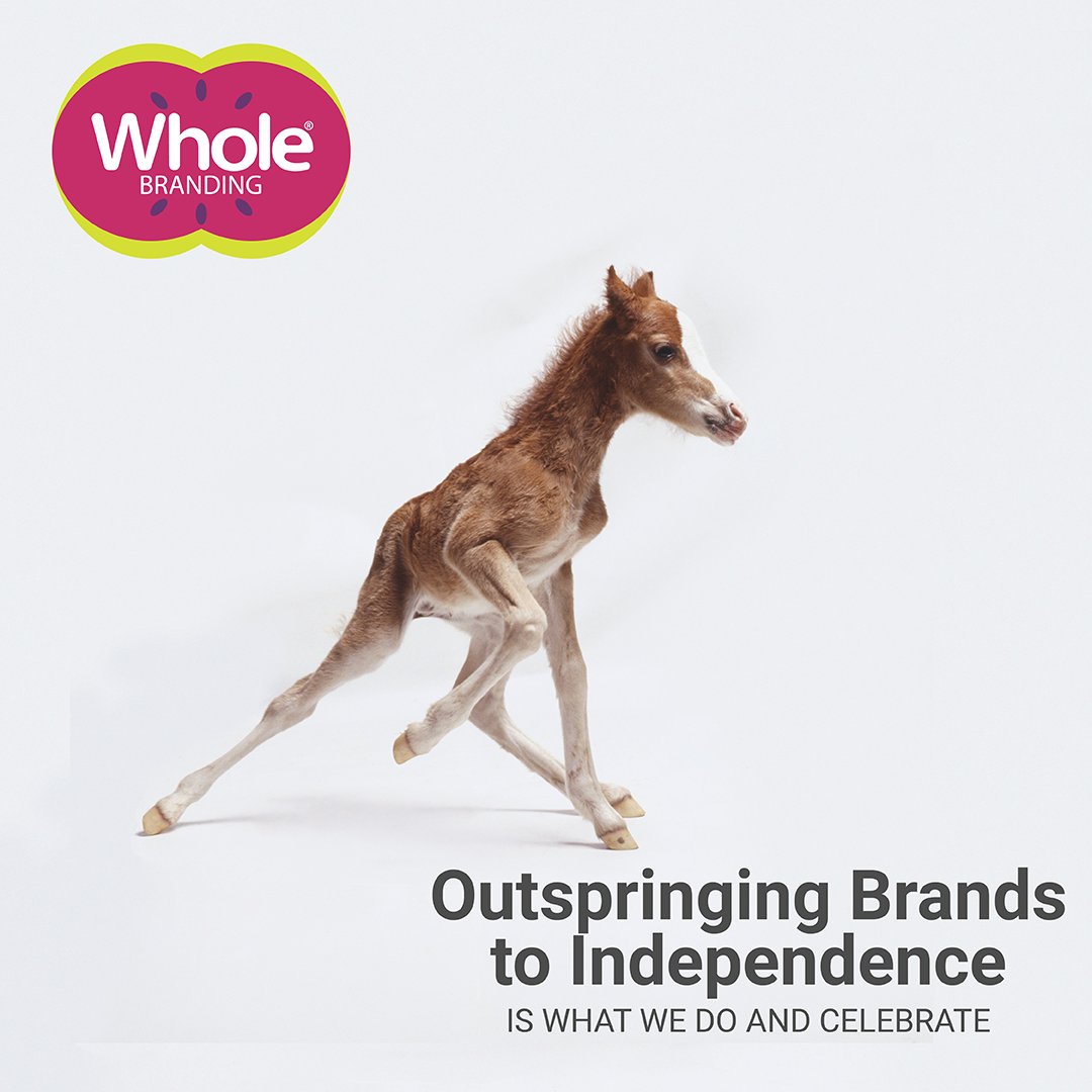 This Independence Day, let's celebrate nature's wonders and reflect on the swift strides towards independence. 
Like foals stand, walk, and trot shortly after birth, brands can achieve remarkable autonomy early on. 
At WholeBranding, we empower them to do it confidently!