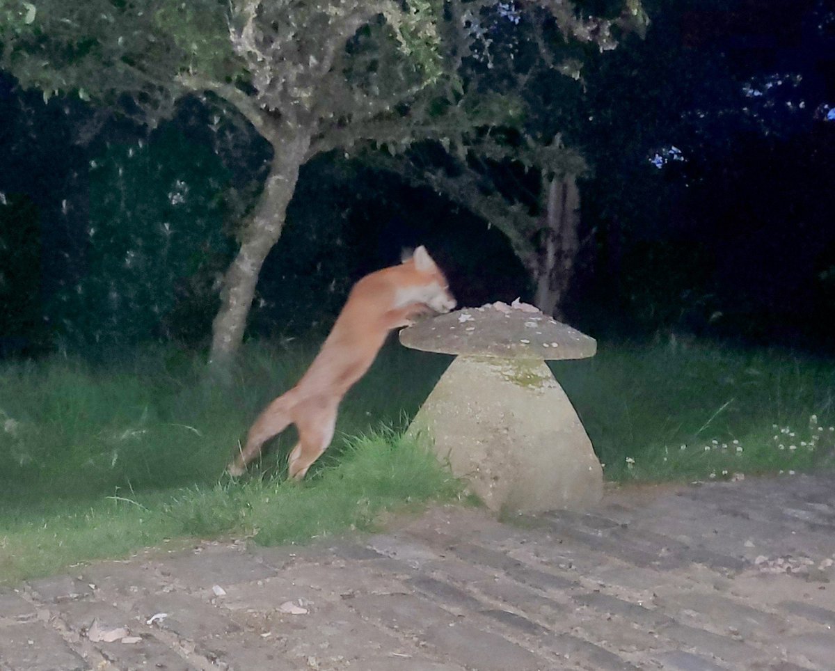 Freddie Fox says I voted Labour. Now, can we have a complete ban!
This election has left me hungry.