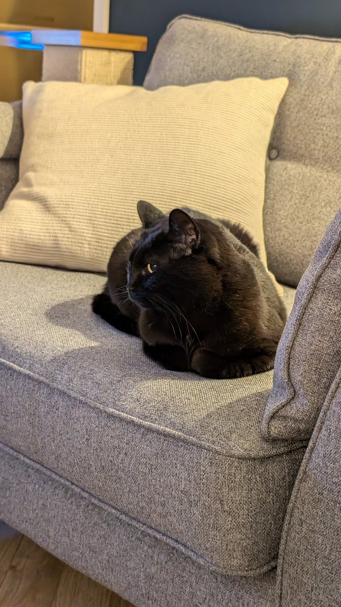 My political correspondent and I will stay up for first results and then question is, will I sleep? Who knows