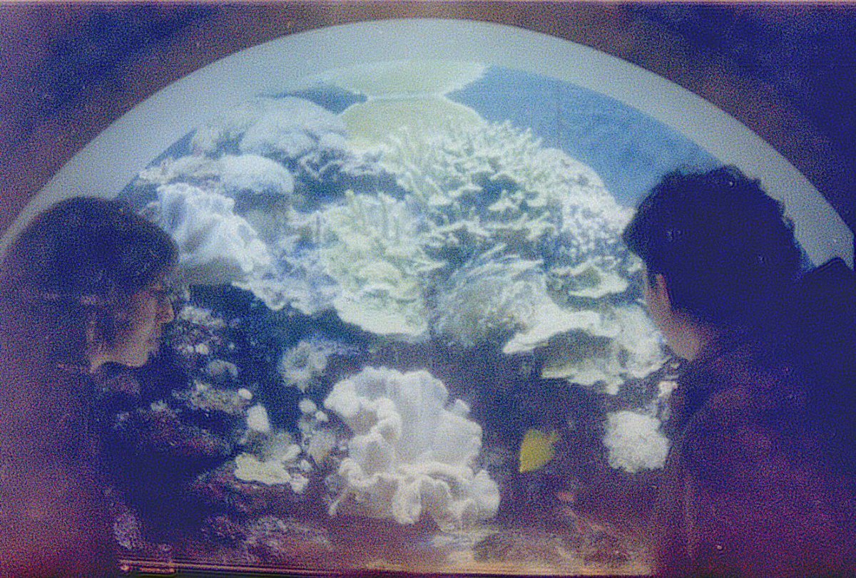 emmanajer's tweet photo. escenas de la peli surrealista de mis recuerdos de este último año✧₊⁺ https://t.co/aWbwMEvX2A