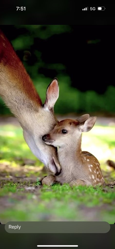 اتعبني البكاء خلفها ..لماذا الامهات يموتون ..اللهم امي وقلبي  ..كلما فرحت اشتقت لها وكلما ضاقت بي الدنيا اشتقت لها ..ساعدني يارب لاتجاوز كل هذا الوجع 🙏🏻
