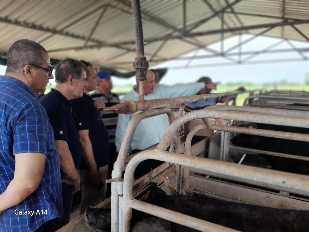 Realiza visita al Polo Productivo de Quivican el VPM Tapia, acompañado del VM Maury del Minag. En la visita participa la Agencia de Cooperación Italiana.
#VamosPorMás