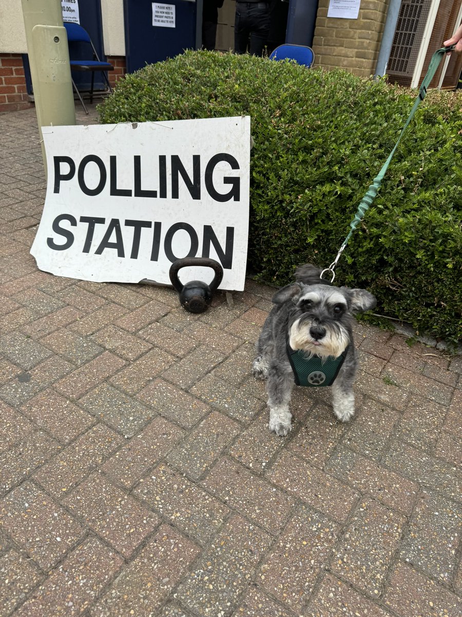 Come out of Twitter retirement to say VOTED #dogsatpollingstations