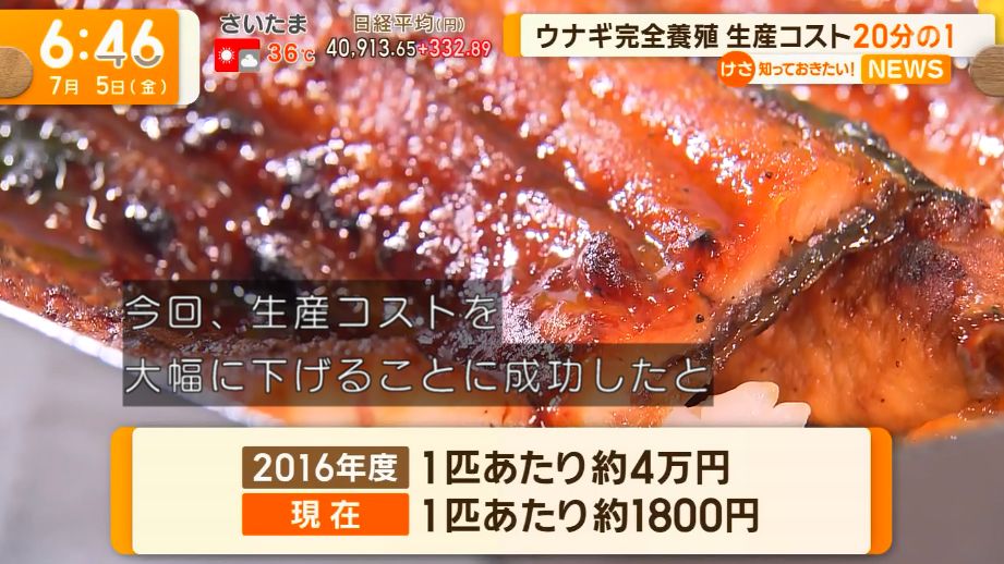 yuruhuwa_kdenpa's tweet photo. 研究の結果 養殖ウナギ1匹のコストが大幅に低下

2016年　4万円
2024年　1800円

日本は食い物の研究だと本気だすな
これは応援したい https://t.co/mcUp7pEFhH