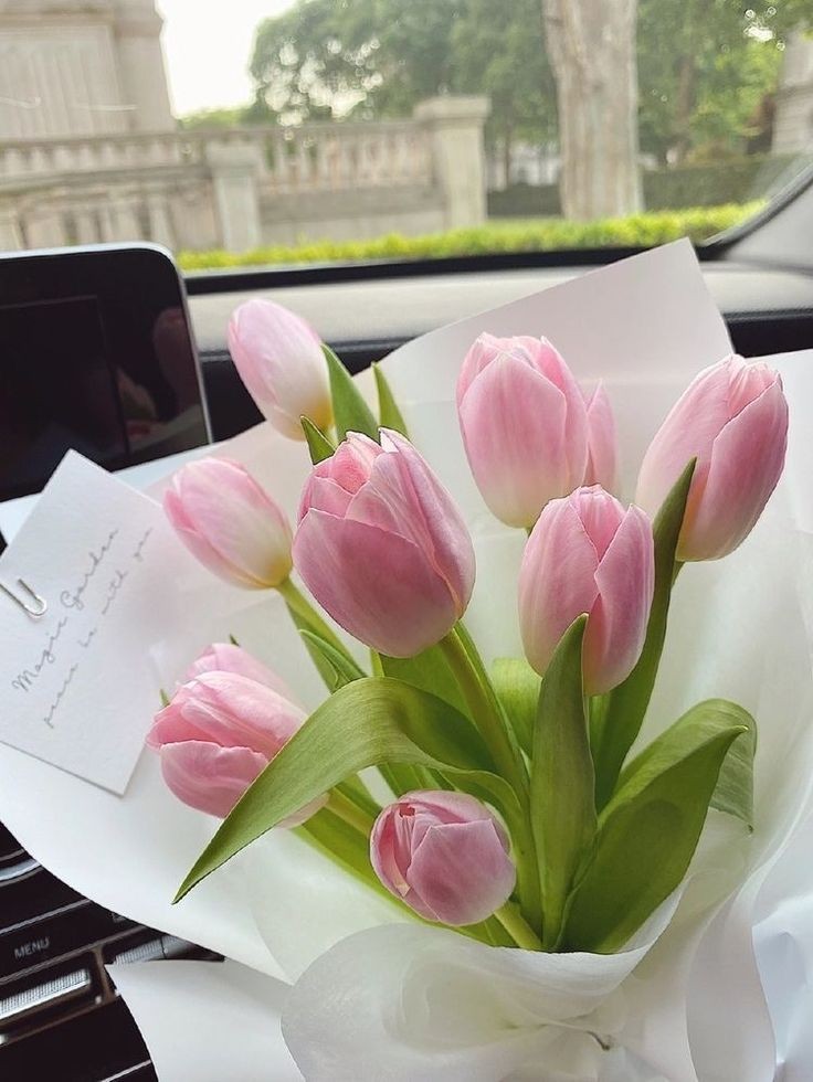 pink tulips