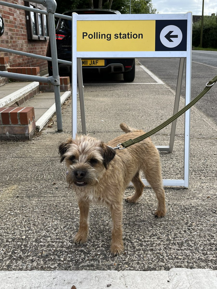 #dogsatpollingstations