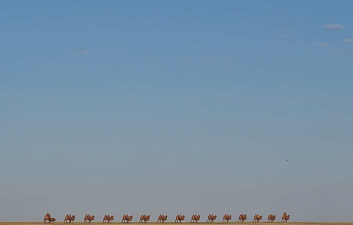 Өглөөний мэнд, Баянзагийн Улаан эргээс...