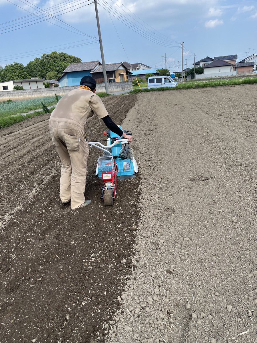 gyodamamekichi's tweet photo. おはよう♪
さきたまめの種まきの様子をお届け‼️
しっかり、芽が出るように手動の機械で種まき！
20日しか採れない貴重な枝豆をできるだけ、多くの人に届けるために撒く時期は数日に分けて行なっているよ‼️
今日も朝から暑い‼️
暑いぞ！ぎょうだっ���
みんな水分はしっかり取ろうね！
今週もお疲れ様💚 https://t.co/GkkI8yEZUi