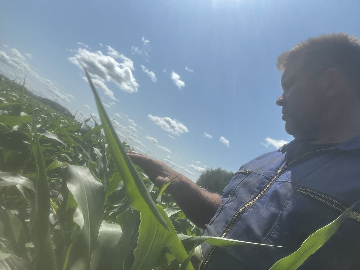 Bart Bikker tweet media