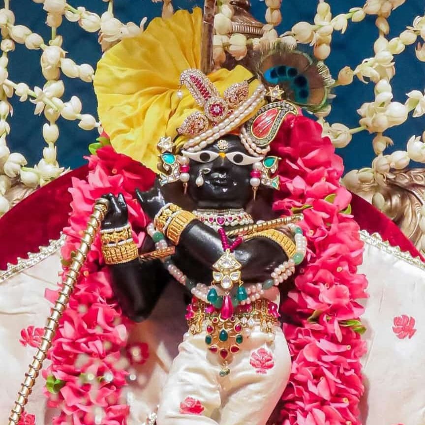 Divya Goswami tweet media