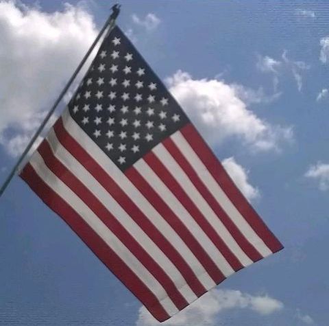 Edward89472393's tweet photo. Independence Day U.S.A. 2024. https://t.co/uoDTvO0aF5