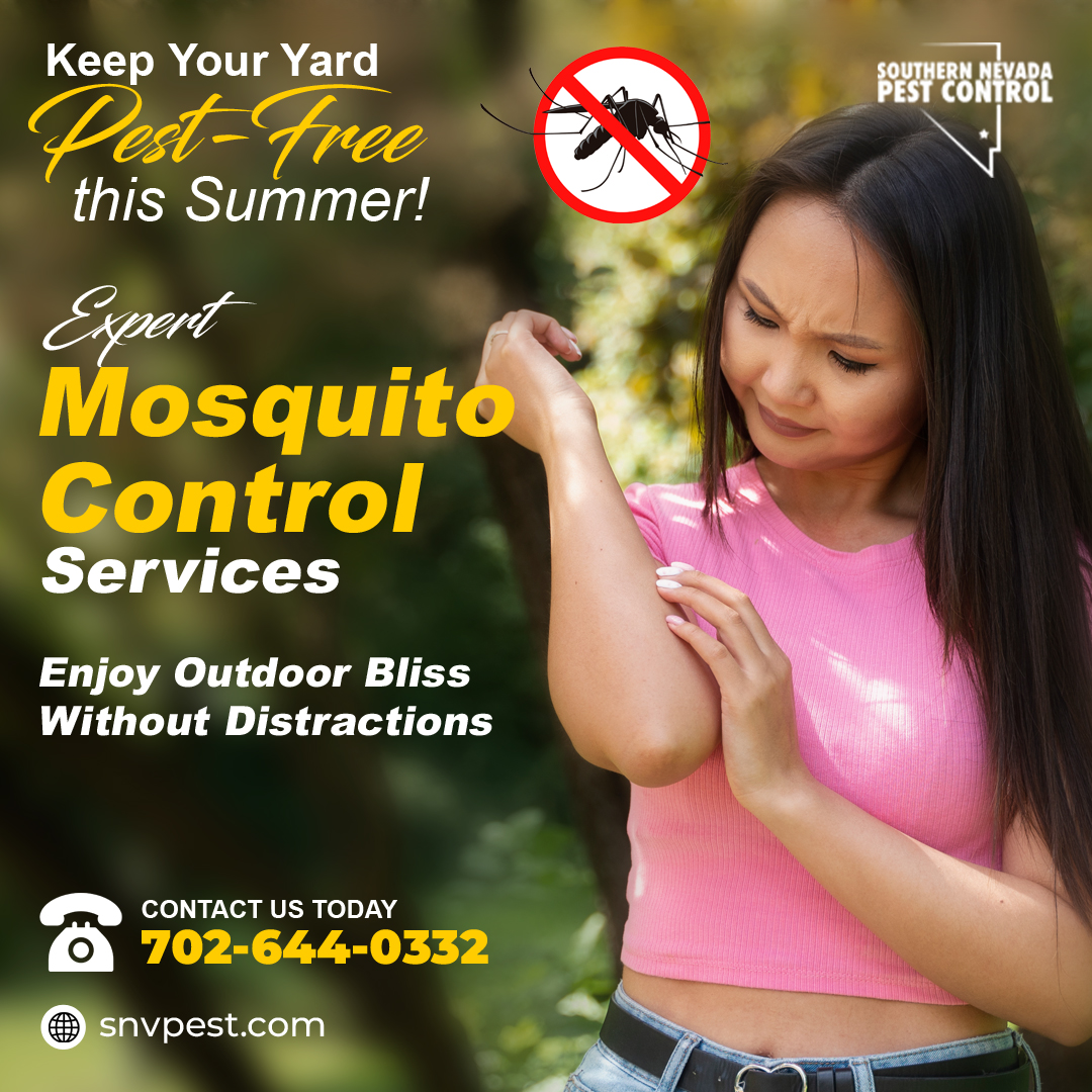 SNVPest's tweet image. Tired of mosquitoes ruining your outdoor fun? #SouthernNevadaPestControl offers expert #MosquitoControl Services to keep your yard mosquito-free! Safe, eco-friendly methods so your family can enjoy the outdoors without the buzz. 📞 702-644-0332 or 💻 snvpest.com!