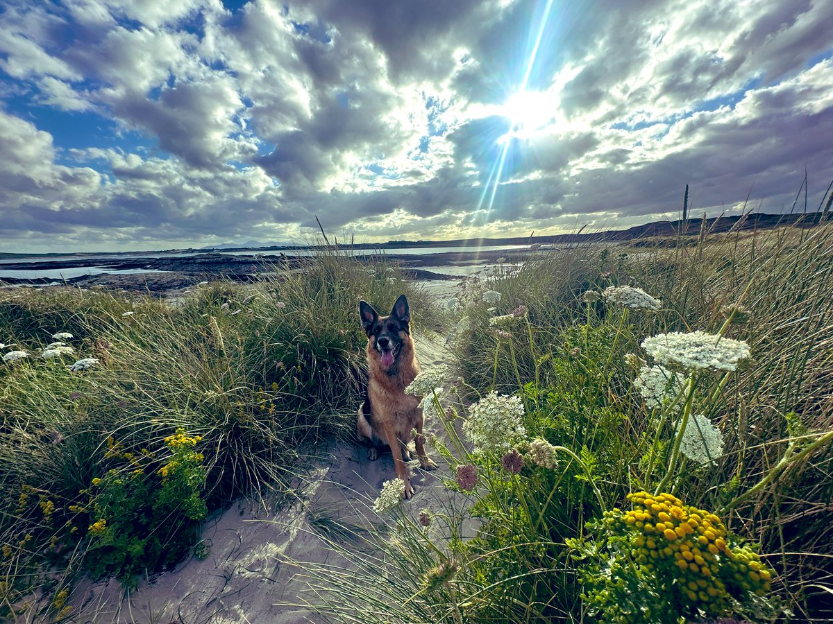 Marie-Thérèse tweet media