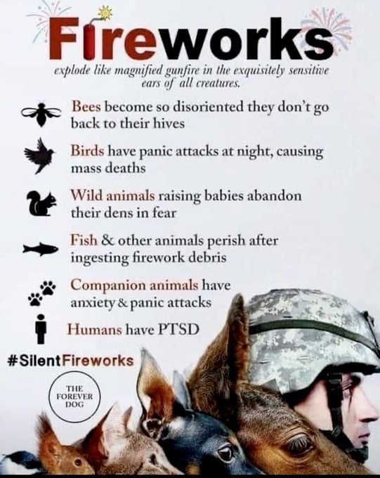Yes. I'm doing my yearly #fireworks PSA. Deal w/ it.  As someone who is in a state that is currently<a href="/tag/fireworks"class="tags">#fireworks</a>