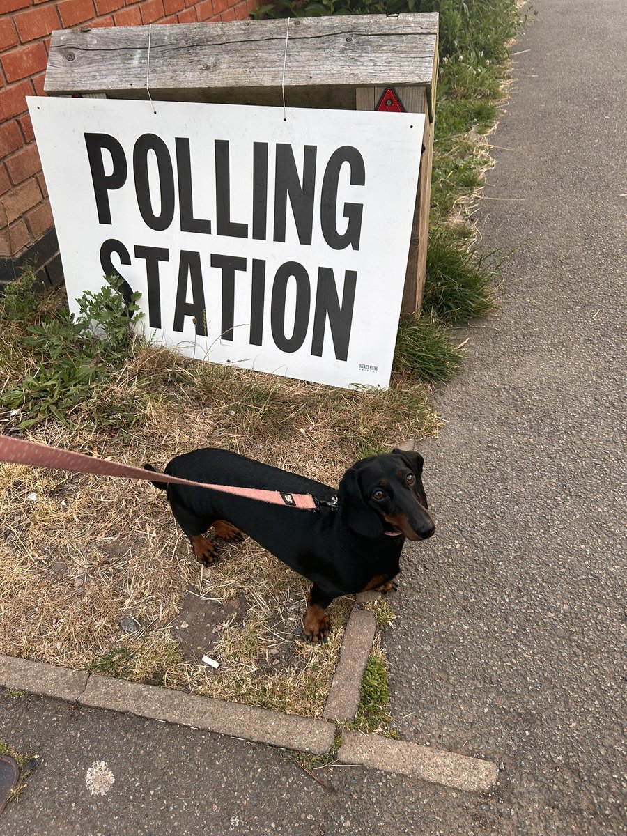 #DogsatPollingStations