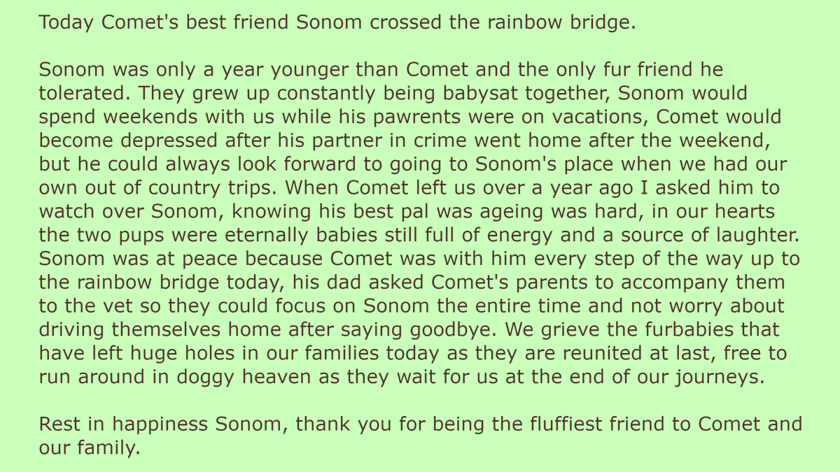MlemonLord's tweet photo. Thank you for spending this life with me Sonom 🐶🌈🤍 https://t.co/78Z6hlCubo