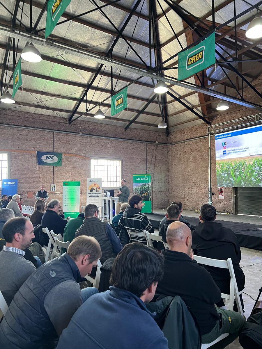 Roberto De Rossi tweet media