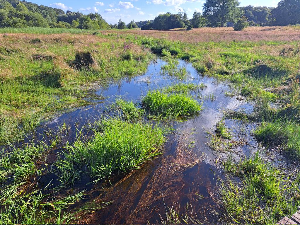 Renkumse beekdal zoals ik nooit eerder zag...